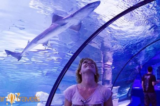 Тур в Акавариум в Анталии