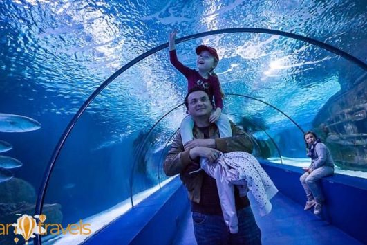 Тур в аквариум из Белека