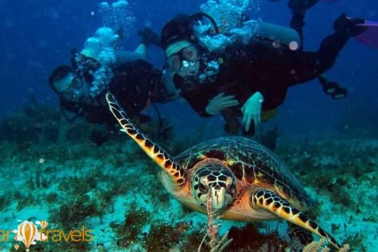 Дайвинг тур в Кемере