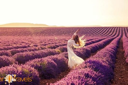 Озеро Салда и тур по лавандовым полям из Алании