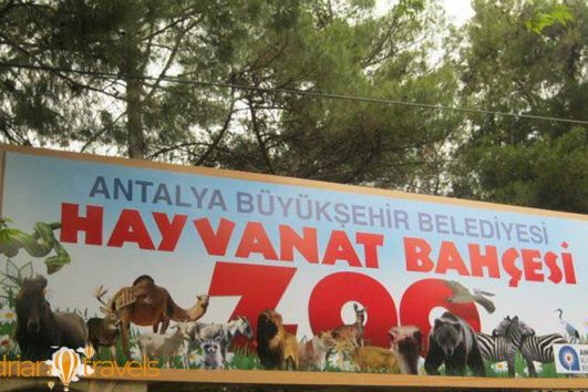 Тур в зоопарк из Кемера